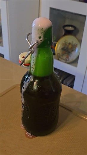 Homemade Soda #gingerbug #soda #homemade