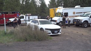 15K views · 214 reactions | LOST AND FOUND Frantic Search and Rescue...