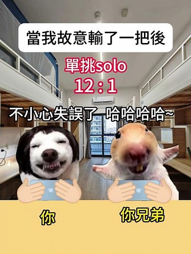 【😺CatDramaCorner】當我故意輸了一把後 #cat #貓meme小劇場 #00後 #shorts #shortvideo #funny cat videos