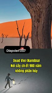 Dead Vlei (Namibia) – Nơi cây chết 900 năm không phân hủy #bian #khamphathegioi #facts | Điệp Viên 007