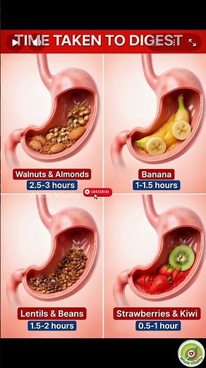 Time taken by different foods to digest #health #nutrition #food #wellness #superfoods #healthy