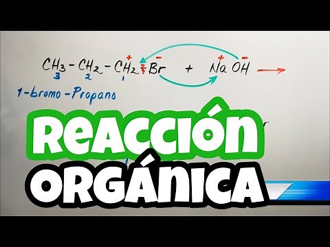 Reacciones QUÍMICAS ORGÁNICAS con ALCANOS