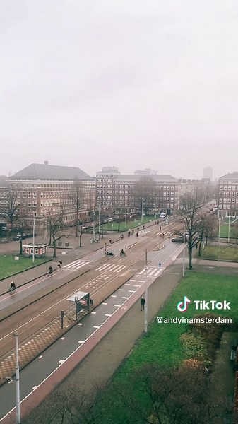 Understanding Traffic Flow in Dutch Bicycle Culture