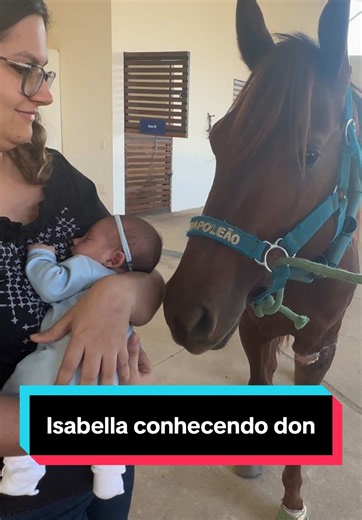 Isabella conhecendo Don: momento de amizade entre cavalo e menina
