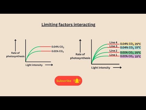 Limiting factors interacting for AQA GCSE biology and combined science
