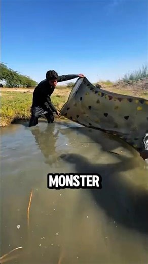 Two Men, One Net. A Monster Catch! #fishing #fish