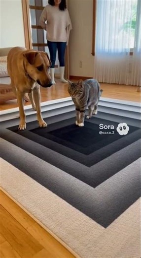 Cat Walks Across “Bottomless Pit” Rug Like a Boss 🐱✨