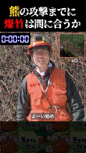 熊の攻撃までに爆竹は間に合うか