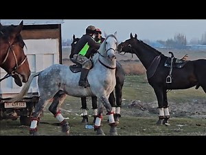 Бишкекте улак башталды/ Чоң Алай районунун ынтымак улагы 1- бөлүм.