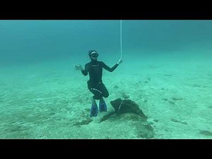 Freediving training course for 20m.