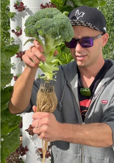 This method of farming allows you to grow far more crops in a fraction of the space while using up to 95% less water than traditional agriculture. By growing vertically on aeroponic towers, you can produce over 160 different crops, including leafy greens, herbs, vegetables, fruits, and even flowers. Everything is grown without soil, with roots suspended in air and fed with a perfectly balanced nutrient solution. Each plant receives exactly what it needs, when it needs it, resulting in faster gro