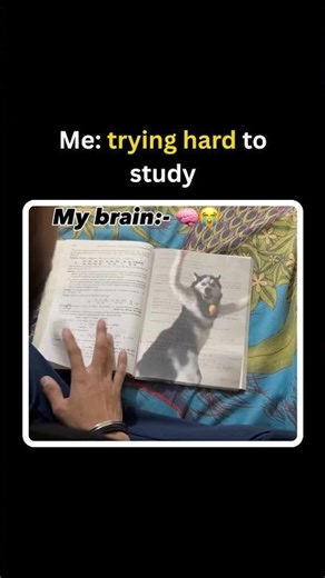 Me Trying Hard to Study 📚 Meanwhile My Brain: Instagram Reels 💀😂