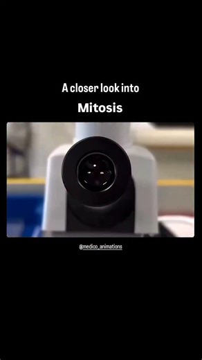 medical_animation on Instagram: "Mitosis is the process of cell division where one parent cell produces two identical daughter cells. It ensures growth, repair, and replacement of cells. The stages are prophase, metaphase, anaphase, and telophase, followed by cytokinesis. Each daughter cell receives an identical set of chromosomes, maintaining genetic stability in the organism . . Credit to the rightful owner 🙏 (DM me if you want it removed or credited properly) For awareness/education purposes