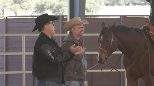 🐴🎥 Unlock Exclusive Training with “The Man of Trail” — Tim Kimura! Ready to take your horsemanship to the next level? When you subscribe to the Horse Show Network, you’ll get exclusive access to training videos from world-renowned trail course designer Tim Kimura — known as The Man of Trail! 🌟 Learn the techniques, insights, and secrets behind some of the most challenging and rewarding trail patterns straight from the master himself. 📺 Subscribe today and start training with Tim Kimura — onl