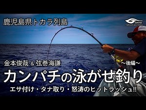 【南方遠征大物泳がせ釣り／カンパチ】 怒涛のヒットラッシュ!! 鹿児島県トカラ列島 カンパチの泳がせ釣り 〜後編〜 泳がせ釣り実釣 編