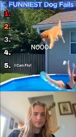 FUNNIEST Dog Fails on the Internet 😂 | Ranked Reactions