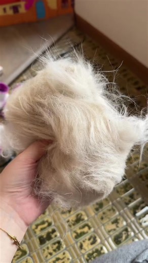 Efficient Pet Grooming for Great Pyrenees Coats