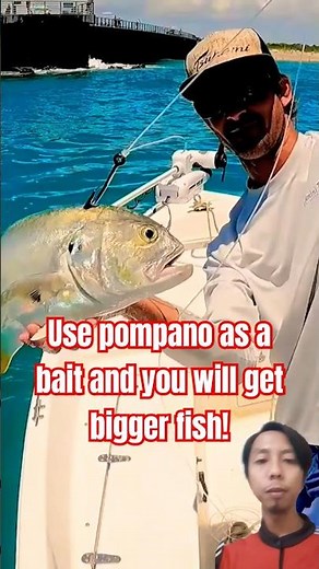 Caught a Giant Goliath Grouper Using Pompano as Bait – Unbelievable Skill!