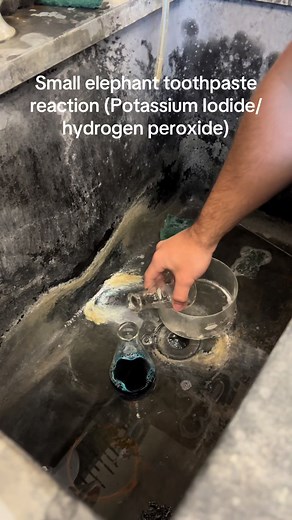 Engaging Small Elephant Toothpaste Reaction Experiment