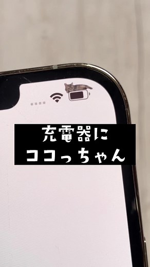 画像はインスタとTwitterで共有したのでよかったらやってみてください😄自分の好きな壁紙にココっちゃんを登場させられます🥰