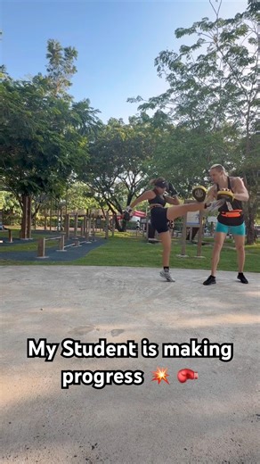 Holding Pads for the Angry Bird 🐦