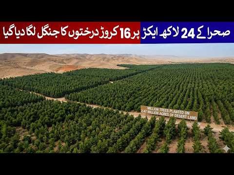 160 Million Trees Planted in Desert – A Green Revolution Begins! | Rich Pakistan