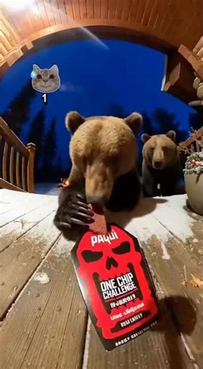 Ranking 5 Animal Reactions to Spicy food challenge #trending #funnyanimals