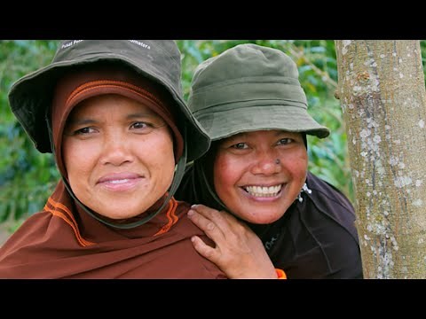 Women are the Backbone of Sumatran Coffee