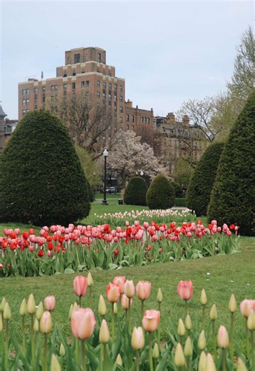 Boston Spring: A Sweet Reward After Winter