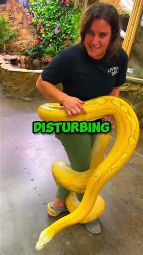 THE PYTHON DEATH-GRIP! 😱🐍 (THE MORTAL CHOKE LEAK)