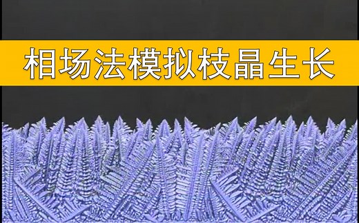 【相场模拟】3D枝晶生长 (可有偿分享计算程序 代做计算)