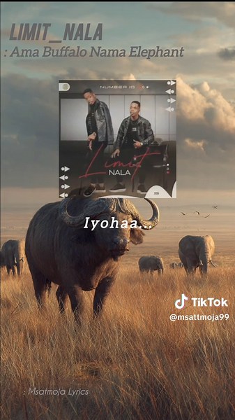 Limit Nala: Amabaffalo Nam Elephant Lyrics Explained
