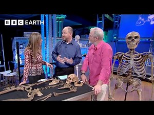 Piecing Together the Bodies of Our Prehistoric Family | Prehistoric Autopsy | BBC Earth Science