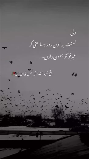 ‎آوای دلم|غمگین|دلتنگی‎ on Instagram: "This viral video captures a man repeatedly attempting to flee a pursuing Belgian Malinois through a kennel gate, creating a comedic “infinity loop” as the dog’s relentless energy traps him in a cycle of evasion, filmed at what appears to be a dog training facility. , an account specialising in absurd, decontextualised human moments, the clip amassed over 8 million views and 34,000 likes within weeks, highlighting the breed’s renowned stamina-Belgian Malinoi