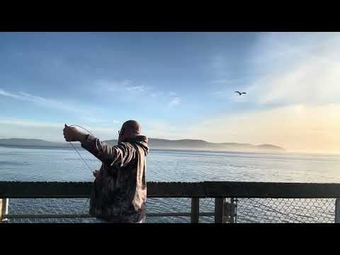 Catching some small crab in Garibaldi OR.