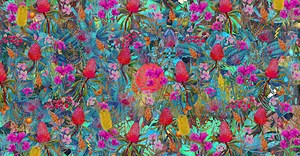 Trent Dalton - HarperCollins Australia