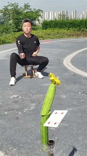 Flying Card Trick, Unbelievable Cards Comparable to Throwing Knives
