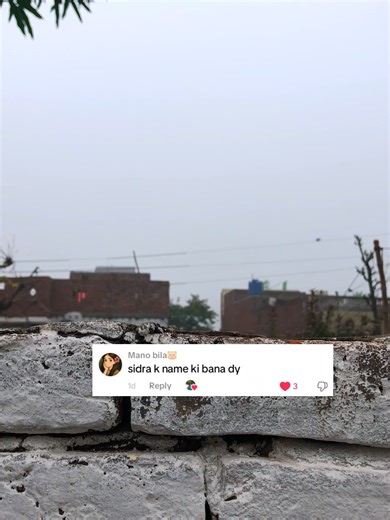 Baji Sidra's New Year 2026 Plans Revealed