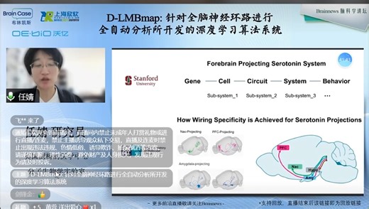 对全脑神经环路进行全自动分析的深度学习算法系统
