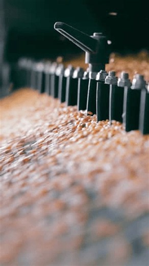clip-4143936019-automated-grain-distribution-silo-grains-being-evenly