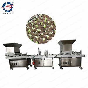 [Hot Item] Greenhouse Vegetable Nursery Seeding Automatic Tray Seeder Machine