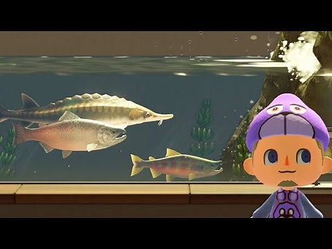 How to Catch Salmon, King Salmon, & Pike in Animal Crossing New Horizons