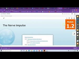 Psy 260 Technology Tutorial Spring 2021
