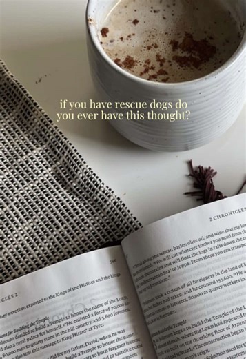 Sometimes I look at my dogs and think… you were so close to not being here. And now you’re my whole world. 🥹 #rescuedog #AdoptDontShop #FosterDog #rescuedogs #rescuepuppy