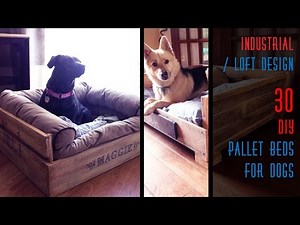 30 DIY Pallet Beds For Dogs