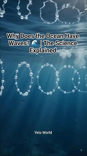 Why Does the Ocean Have Waves? 🌊 | The Science Explained