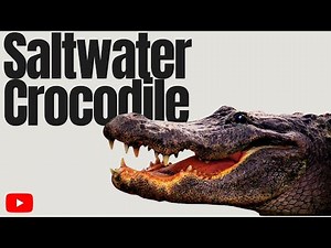 Saltwater Crocodile (Crocodylus porosus) – Power, Ambush Strategy, and Apex Dominance