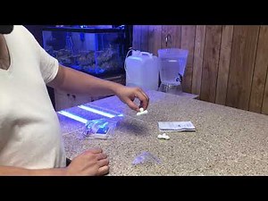 Unboxing review of HM Dual TDS Meter