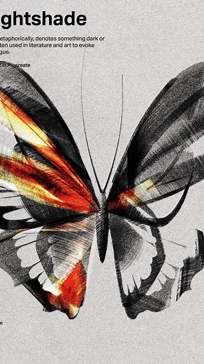 FAZ on Instagram: "⟢ Nightshade II ⟣ Quick tip — Use ‘Divide/Vivid Light/Add’ blending mode for the final colours. Brushes download link ➔ fazdes.gumroad.com [Link in bio] ——— #procreate #procreatedrawing #procreateart #procreateapp #procreatetutorial #procreateillustration #procreateartist #procreatebrushes #procreatetips #gumroad #grainybrush #typography #type #letteringbrush #freestyle #flower #plant #nightshade #butterfly"