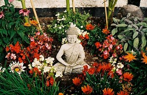 Discover What Is Gardening, Various Types And Benefits